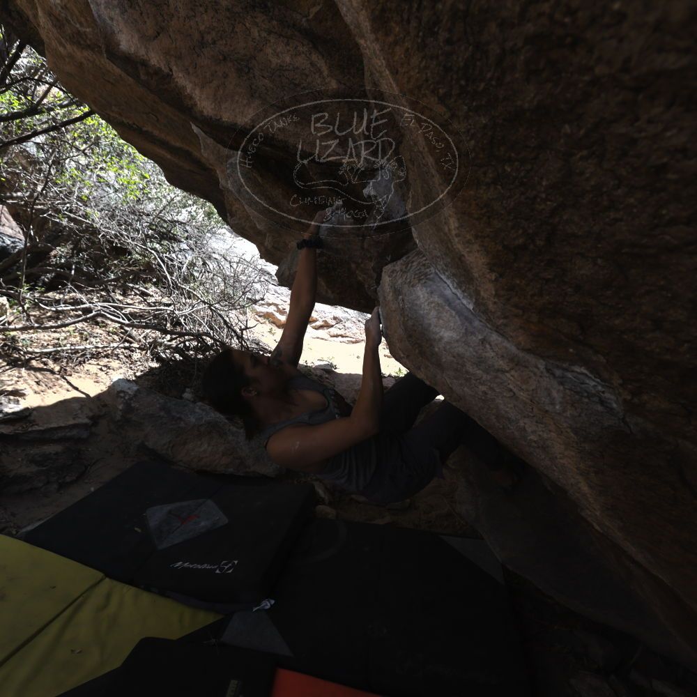 Filename: SRM_20220409_1317550.jpg
Aperture: f/5.6
Shutter Speed: 1/320
Body: Canon EOS R6
Lens: Canon EF 16-35mm f/2.8 L