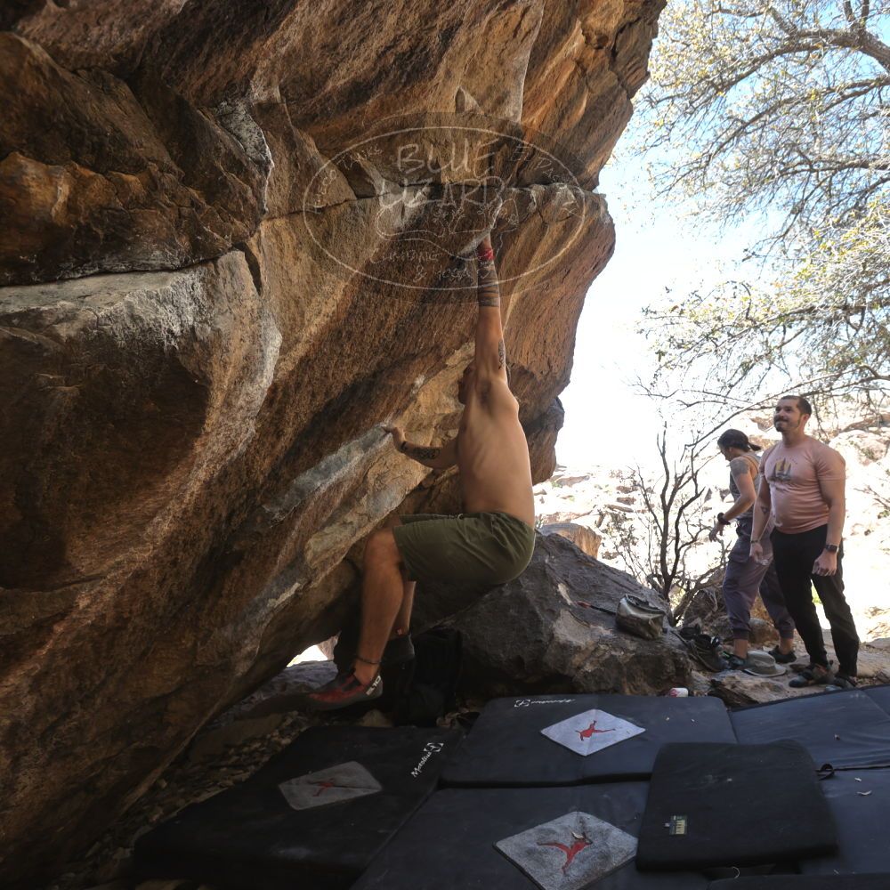 

Filename: SRM_20220409_1345291.jpg
Aperture: f/5.6
Shutter Speed: 1/320
Body: Canon EOS R6
Lens: Canon EF 16-35mm f/2.8 L