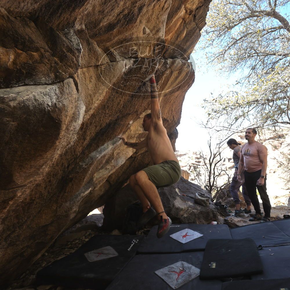 Filename: SRM_20220409_1345293.jpg
Aperture: f/5.6
Shutter Speed: 1/320
Body: Canon EOS R6
Lens: Canon EF 16-35mm f/2.8 L