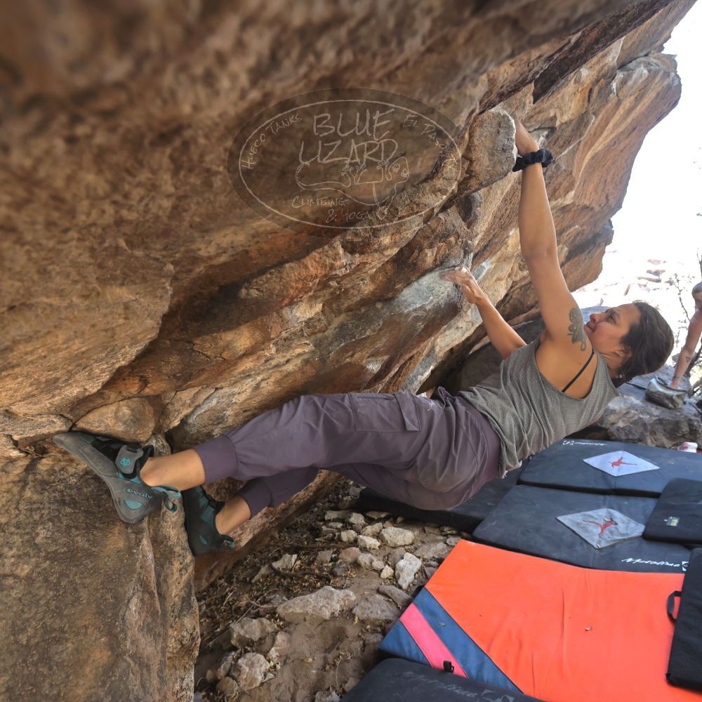 

Filename: SRM_20220409_1346351.jpg
Aperture: f/5.6
Shutter Speed: 1/320
Body: Canon EOS R6
Lens: Canon EF 16-35mm f/2.8 L