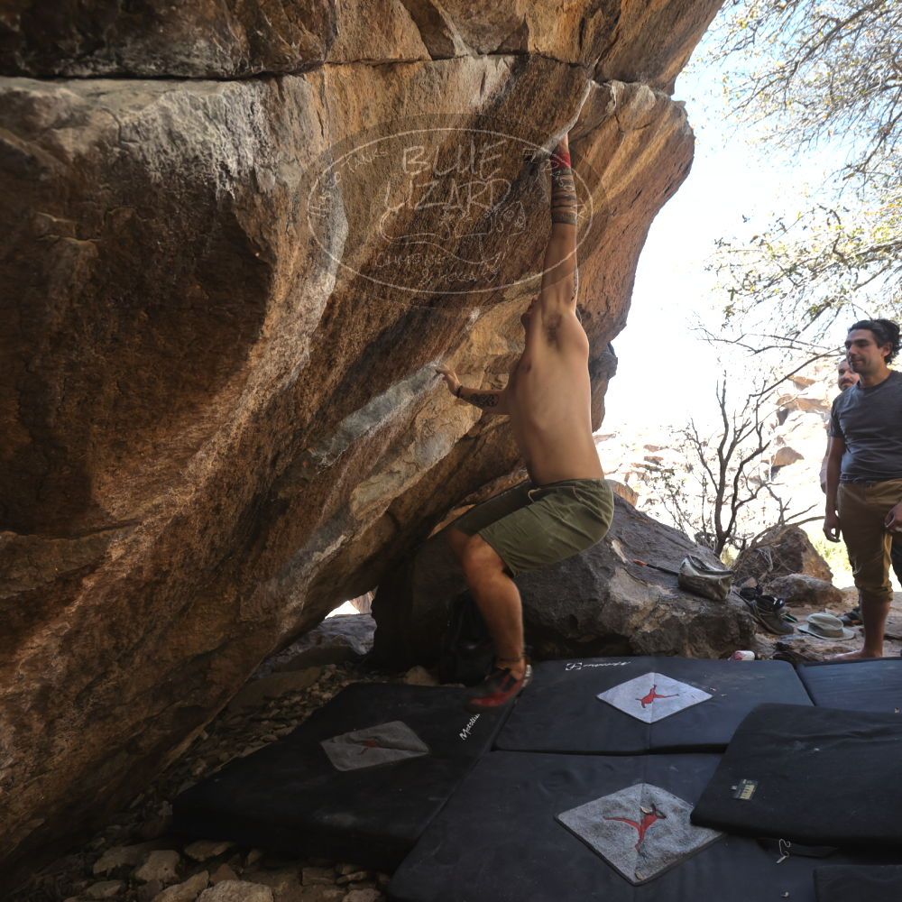 

Filename: SRM_20220409_1347551.jpg
Aperture: f/5.6
Shutter Speed: 1/320
Body: Canon EOS R6
Lens: Canon EF 16-35mm f/2.8 L