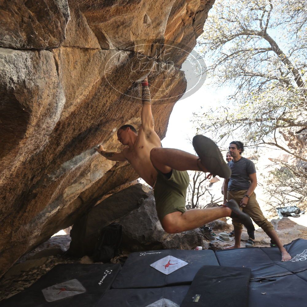 

Filename: SRM_20220409_1347564.jpg
Aperture: f/5.6
Shutter Speed: 1/320
Body: Canon EOS R6
Lens: Canon EF 16-35mm f/2.8 L