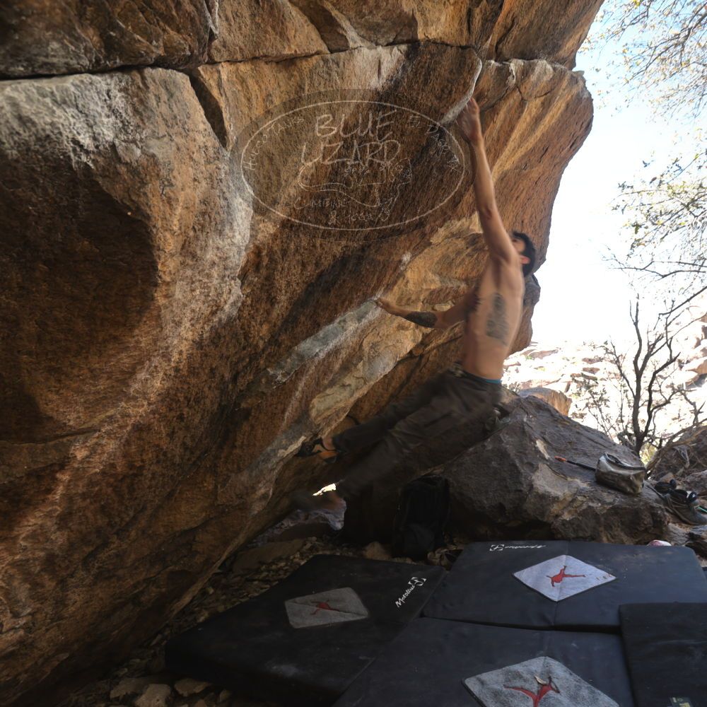 

Filename: SRM_20220409_1349390.jpg
Aperture: f/5.6
Shutter Speed: 1/80
Body: Canon EOS R6
Lens: Canon EF 16-35mm f/2.8 L