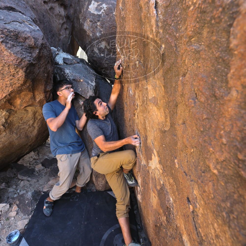 

Filename: SRM_20220409_1408501.jpg
Aperture: f/5.6
Shutter Speed: 1/80
Body: Canon EOS R6
Lens: Canon EF 16-35mm f/2.8 L