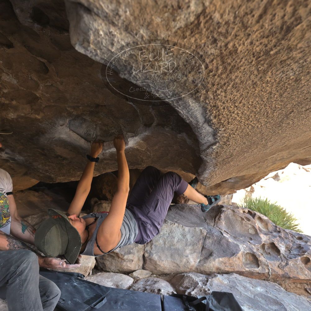 Filename: SRM_20220409_1541250.jpg
Aperture: f/5.0
Shutter Speed: 1/250
Body: Canon EOS R6
Lens: Canon EF 16-35mm f/2.8 L