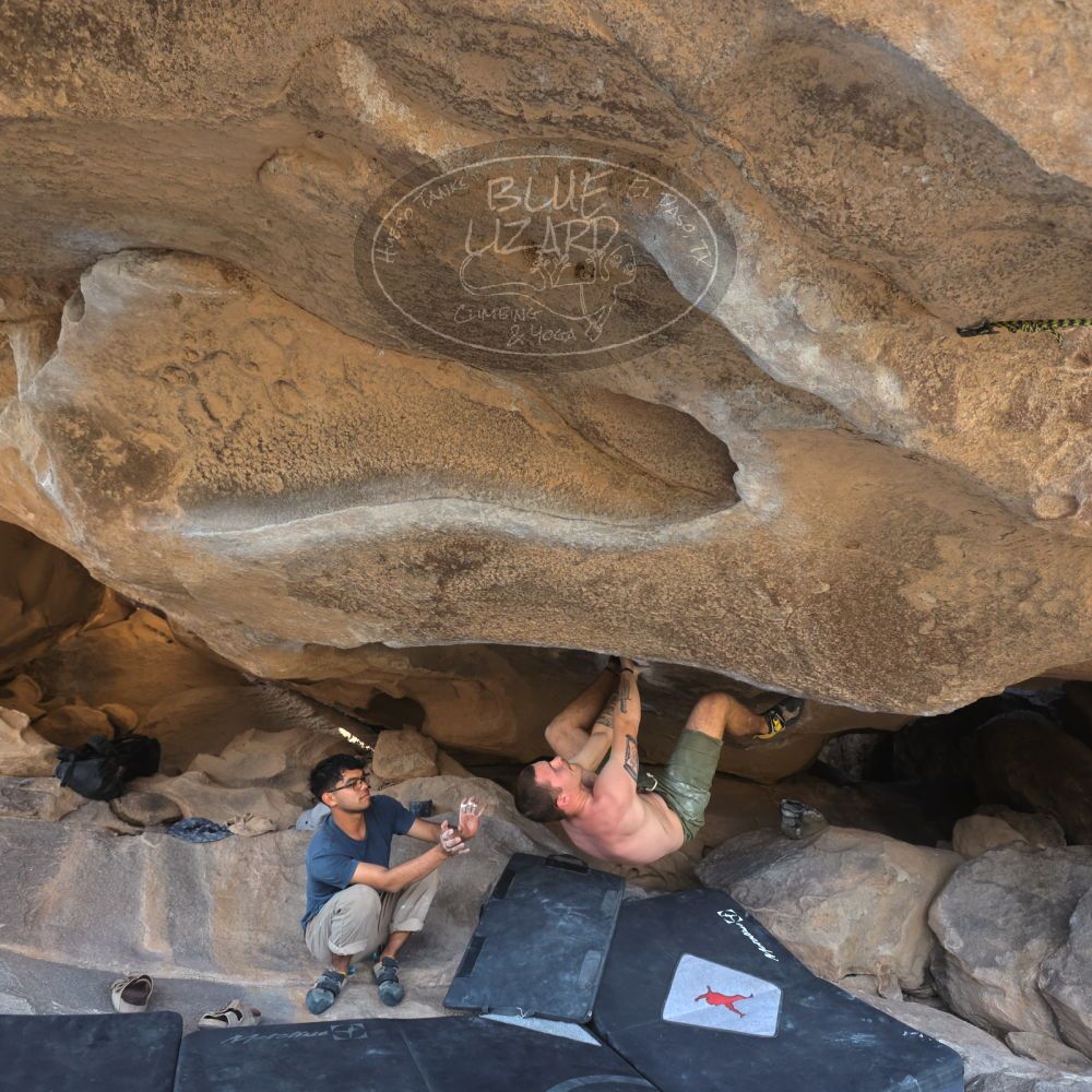 Filename: SRM_20220409_1610570.jpg
Aperture: f/5.0
Shutter Speed: 1/250
Body: Canon EOS R6
Lens: Canon EF 16-35mm f/2.8 L