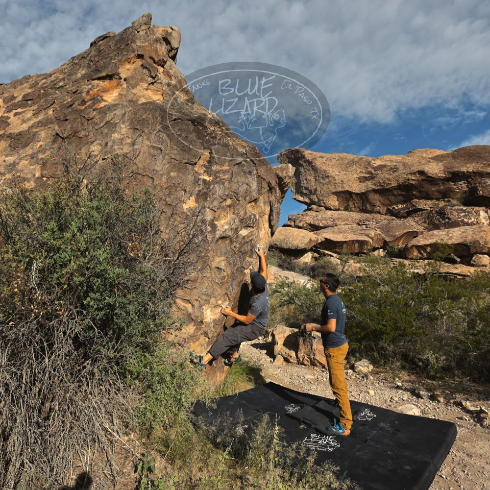 

Filename: SRM_20221022_0823270.jpg
Aperture: f/8.0
Shutter Speed: 1/1250
Body: Canon EOS R6
Lens: Canon EF 16-35mm f/2.8 L