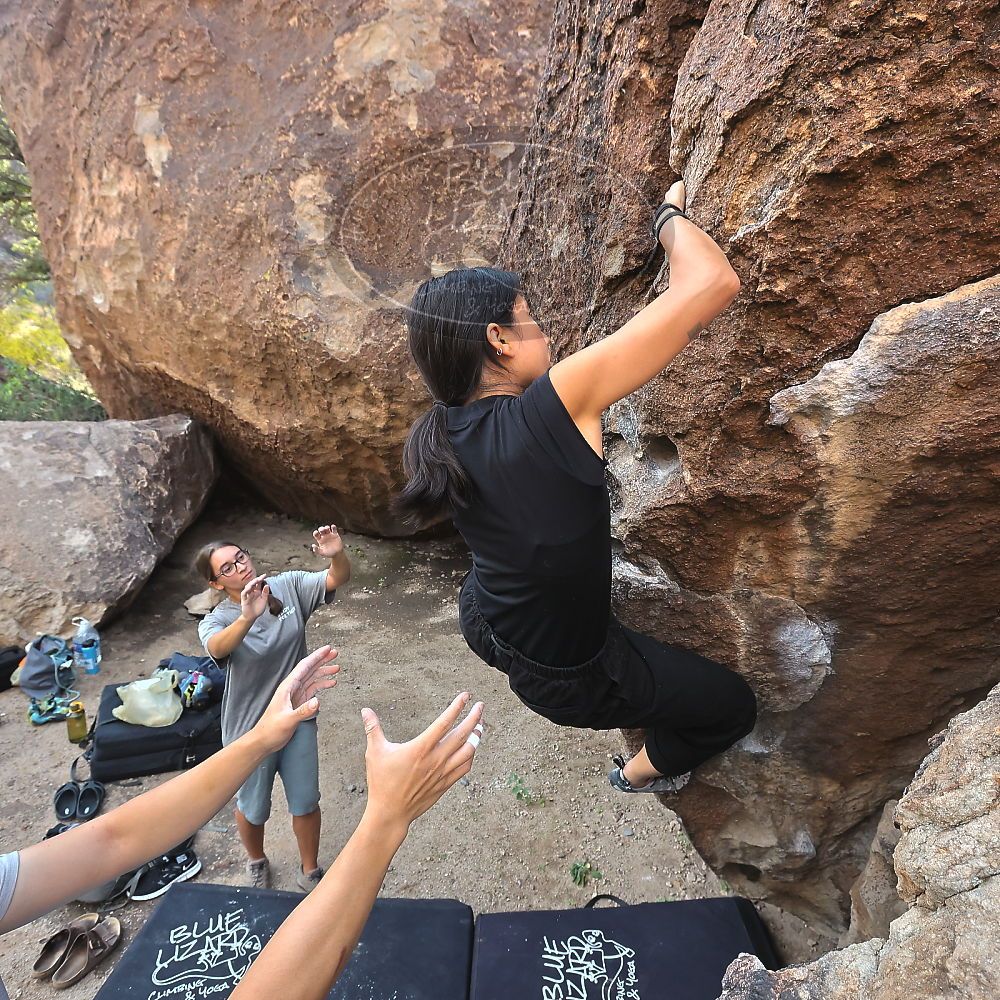 Filename: SRM_20221022_0825160.jpg
Aperture: f/8.0
Shutter Speed: 1/500
Body: Canon EOS R6
Lens: Canon EF 16-35mm f/2.8 L