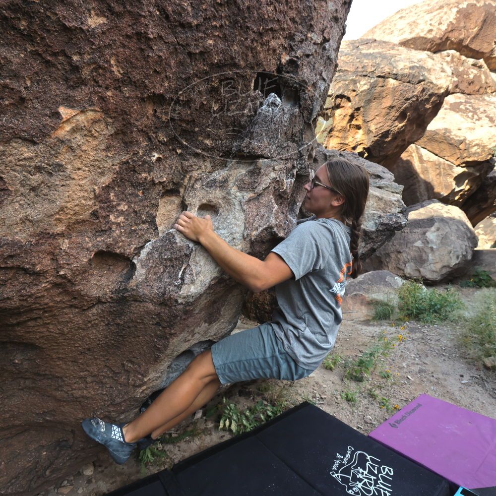 Filename: SRM_20221022_0829000.jpg
Aperture: f/8.0
Shutter Speed: 1/500
Body: Canon EOS R6
Lens: Canon EF 16-35mm f/2.8 L