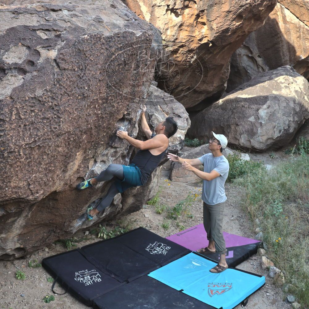 Filename: SRM_20221022_0832480.jpg
Aperture: f/8.0
Shutter Speed: 1/500
Body: Canon EOS R6
Lens: Canon EF 16-35mm f/2.8 L