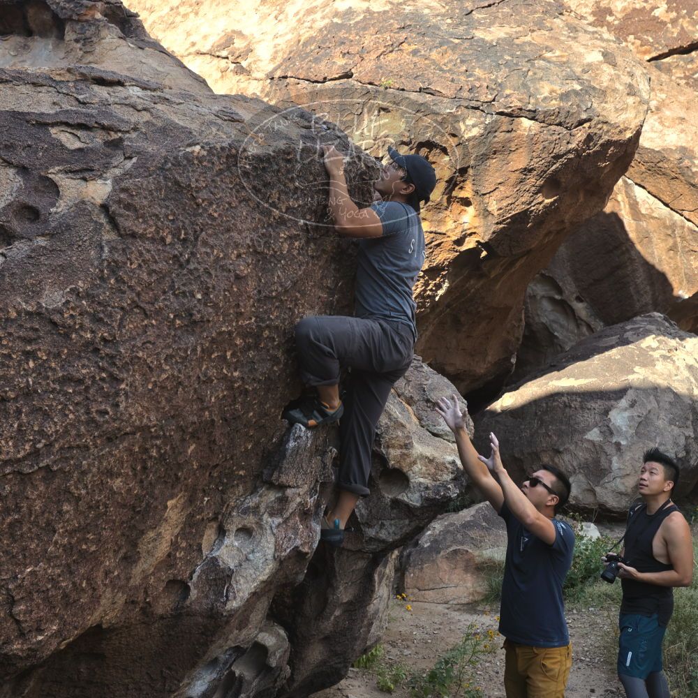 

Filename: SRM_20221022_0836280.jpg
Aperture: f/8.0
Shutter Speed: 1/500
Body: Canon EOS R6
Lens: Canon EF 16-35mm f/2.8 L