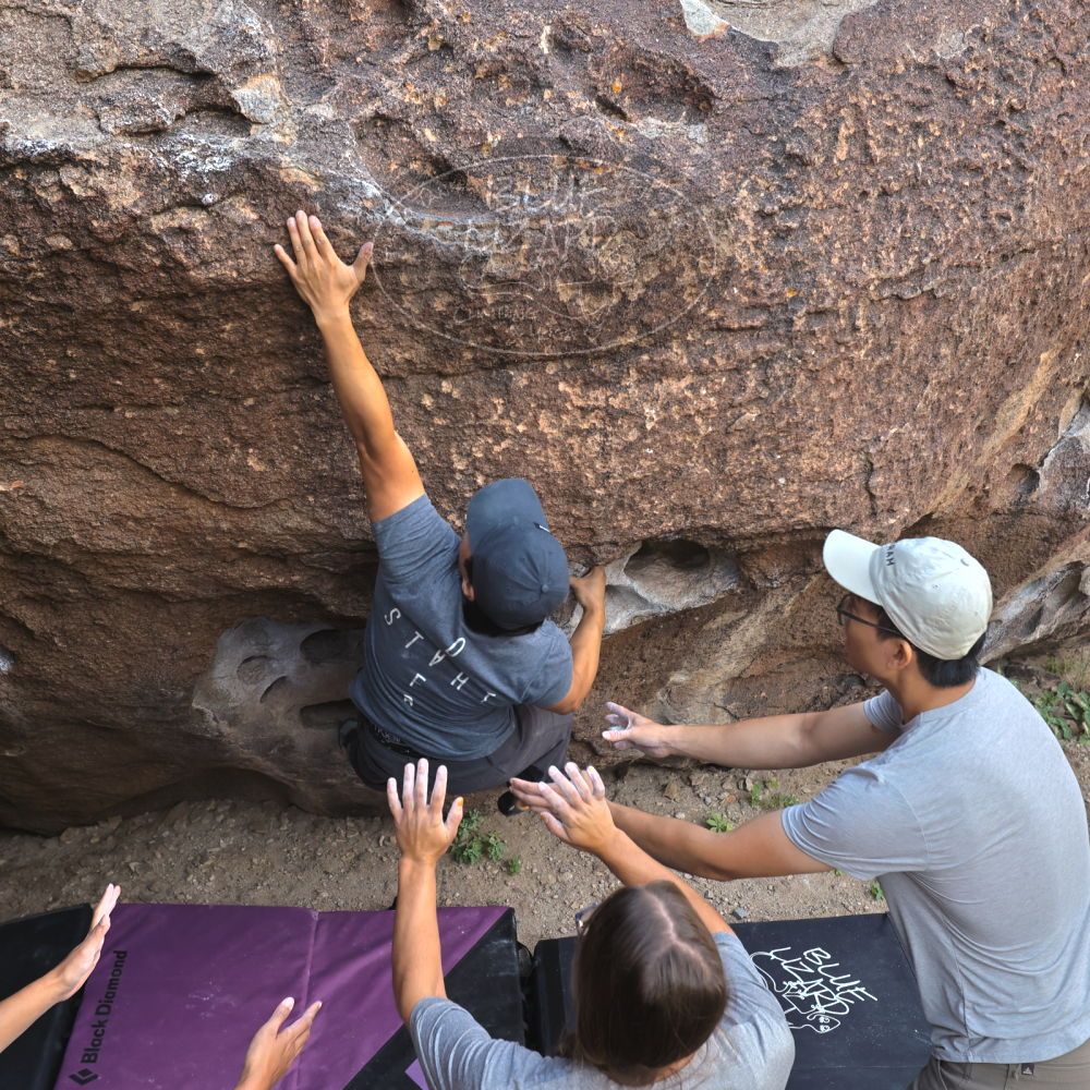 Filename: SRM_20221022_0855290.jpg
Aperture: f/5.6
Shutter Speed: 1/500
Body: Canon EOS R6
Lens: Canon EF 16-35mm f/2.8 L