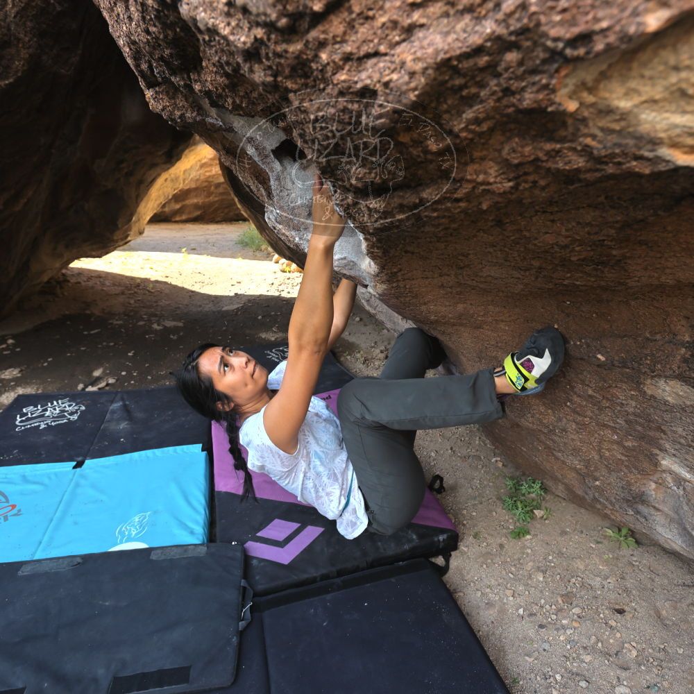 Filename: SRM_20221022_0858330.jpg
Aperture: f/5.6
Shutter Speed: 1/500
Body: Canon EOS R6
Lens: Canon EF 16-35mm f/2.8 L