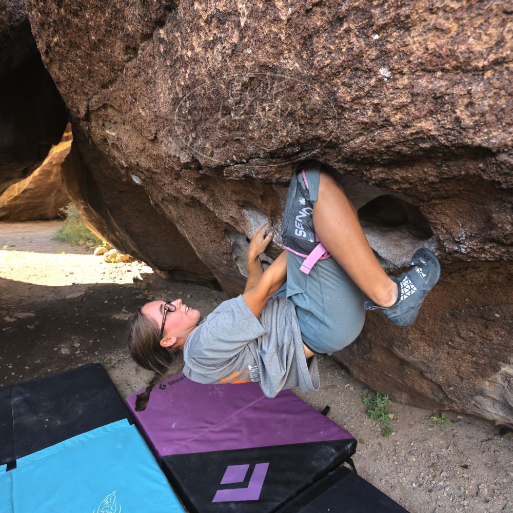 

Filename: SRM_20221022_0915550.jpg
Aperture: f/5.6
Shutter Speed: 1/640
Body: Canon EOS R6
Lens: Canon EF 16-35mm f/2.8 L