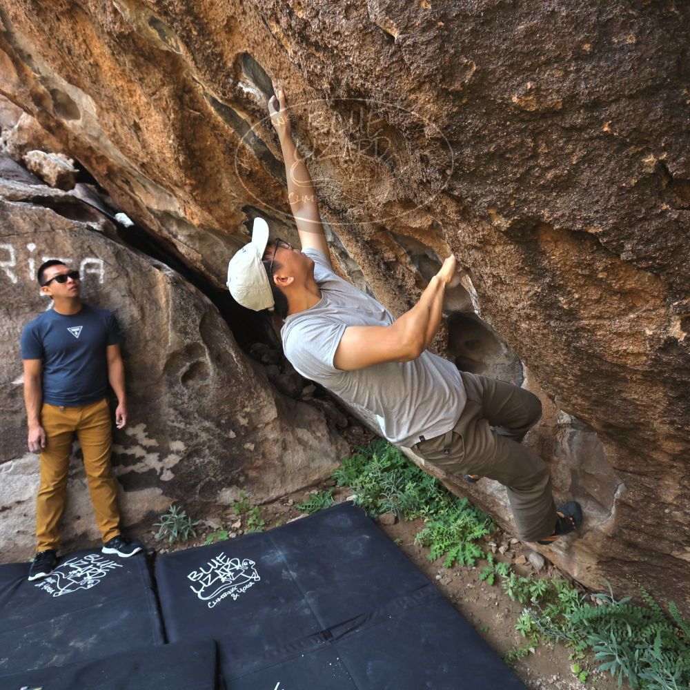 

Filename: SRM_20221022_0932380.jpg
Aperture: f/5.6
Shutter Speed: 1/1000
Body: Canon EOS R6
Lens: Canon EF 16-35mm f/2.8 L