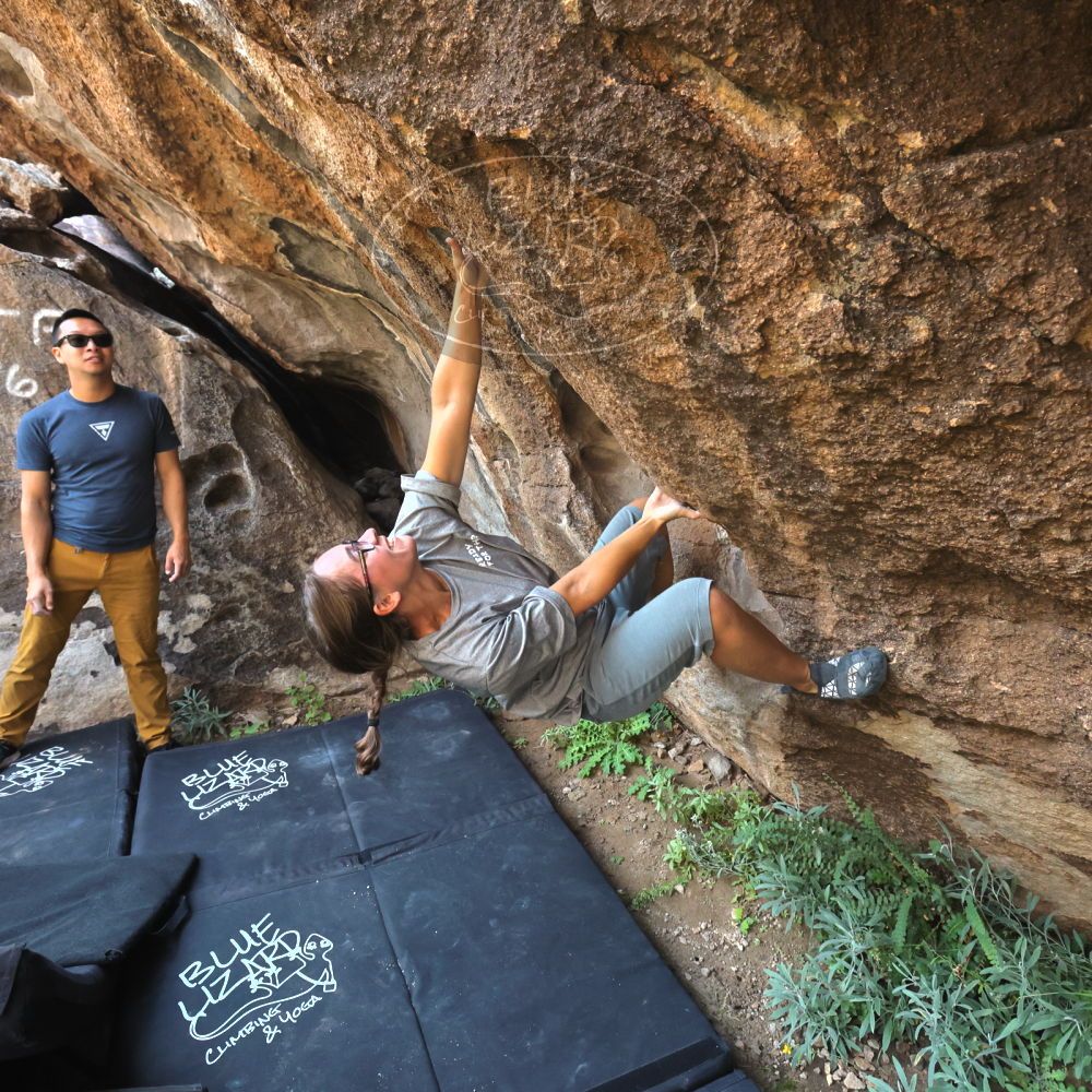 

Filename: SRM_20221022_0936140.jpg
Aperture: f/5.6
Shutter Speed: 1/1000
Body: Canon EOS R6
Lens: Canon EF 16-35mm f/2.8 L