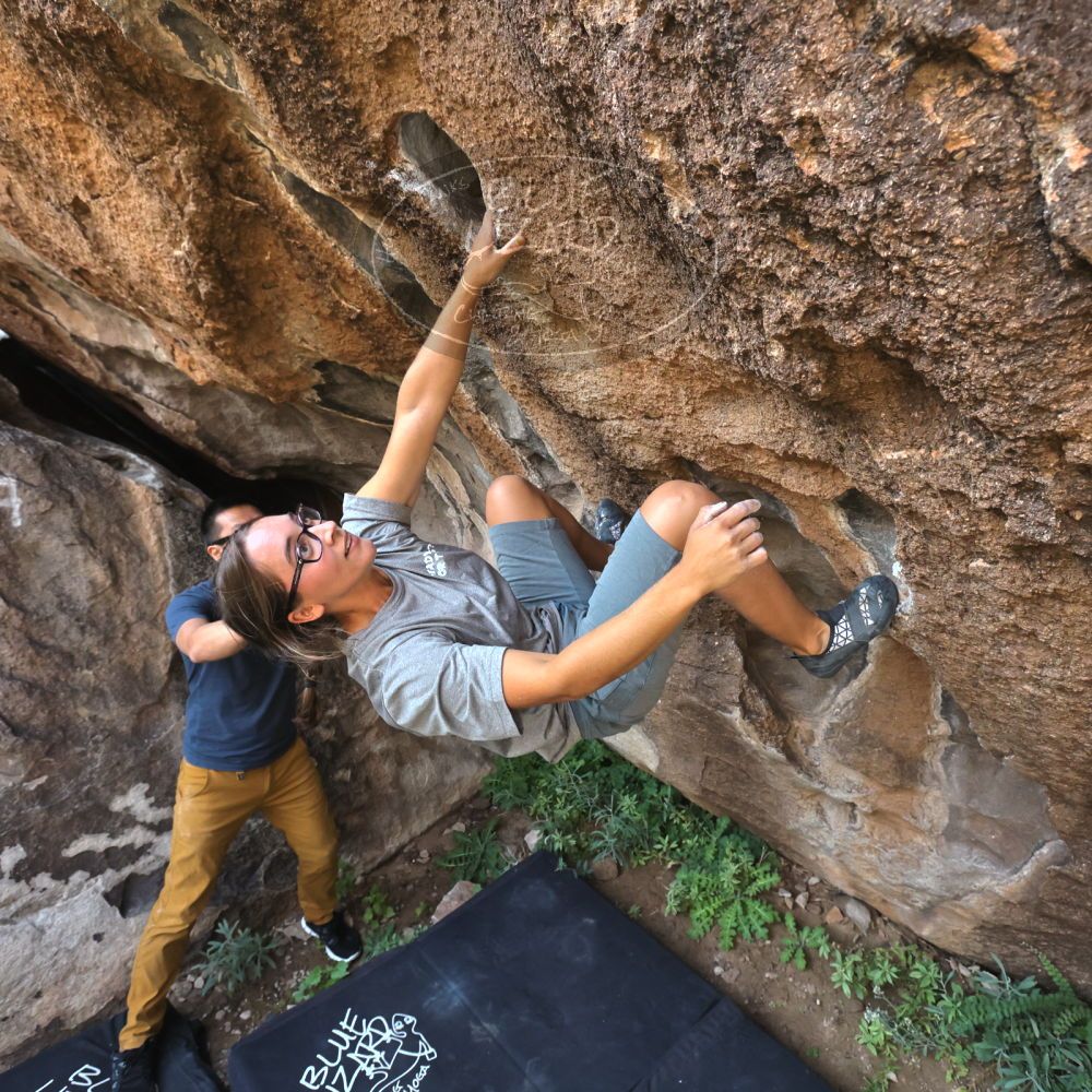 

Filename: SRM_20221022_0936350.jpg
Aperture: f/5.6
Shutter Speed: 1/1000
Body: Canon EOS R6
Lens: Canon EF 16-35mm f/2.8 L