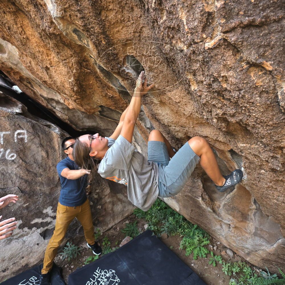 Filename: SRM_20221022_0936360.jpg
Aperture: f/5.6
Shutter Speed: 1/1000
Body: Canon EOS R6
Lens: Canon EF 16-35mm f/2.8 L