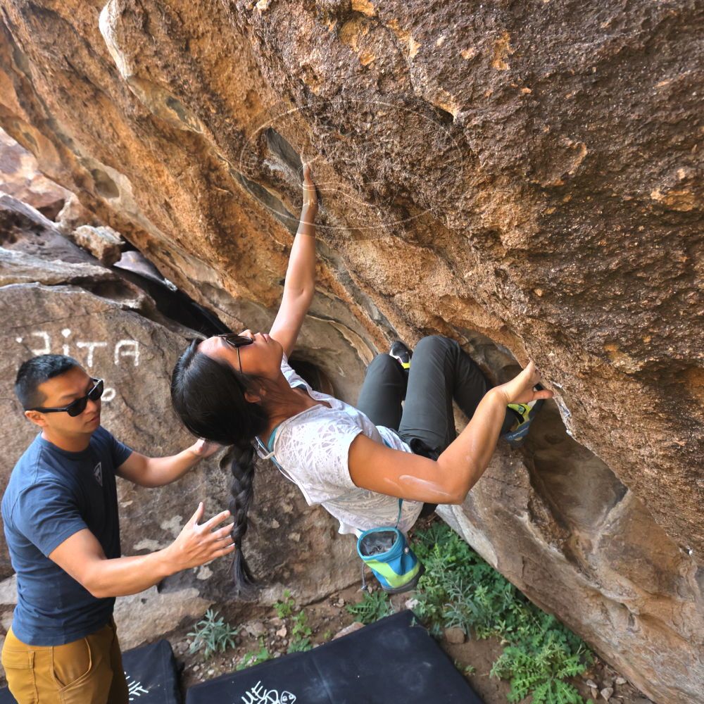 Filename: SRM_20221022_0946300.jpg
Aperture: f/5.6
Shutter Speed: 1/800
Body: Canon EOS R6
Lens: Canon EF 16-35mm f/2.8 L