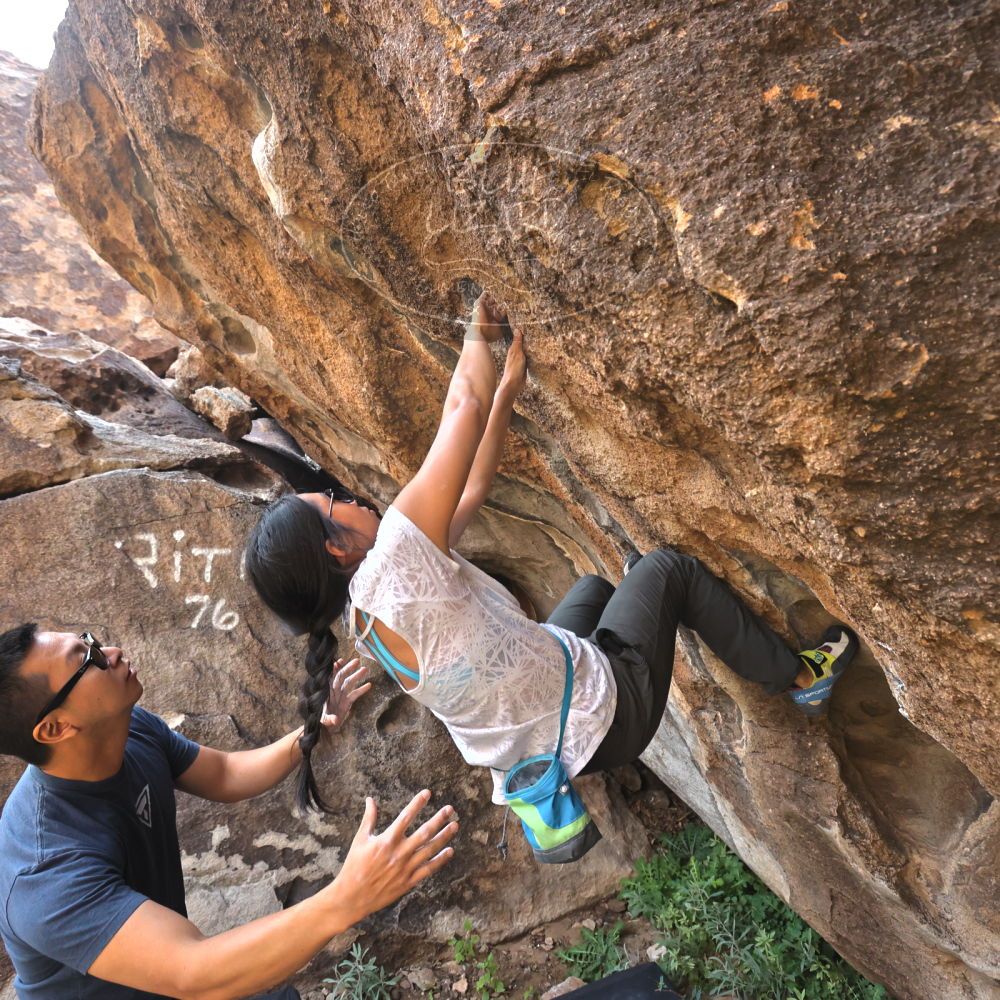 Filename: SRM_20221022_0946310.jpg
Aperture: f/5.6
Shutter Speed: 1/800
Body: Canon EOS R6
Lens: Canon EF 16-35mm f/2.8 L