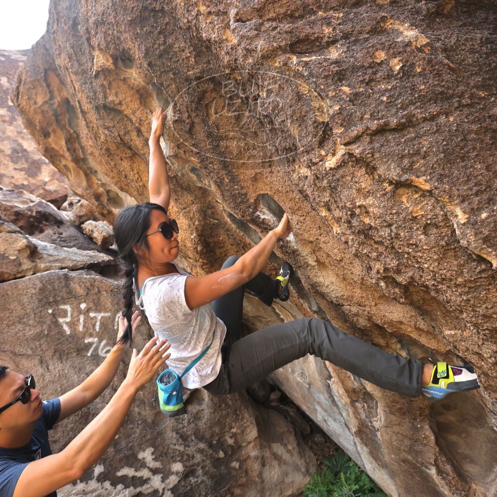 

Filename: SRM_20221022_0946390.jpg
Aperture: f/5.6
Shutter Speed: 1/800
Body: Canon EOS R6
Lens: Canon EF 16-35mm f/2.8 L