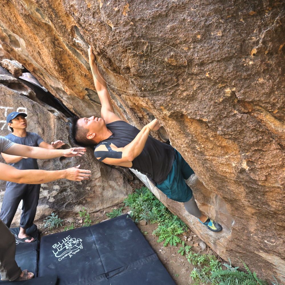 Filename: SRM_20221022_0950050.jpg
Aperture: f/5.6
Shutter Speed: 1/800
Body: Canon EOS R6
Lens: Canon EF 16-35mm f/2.8 L