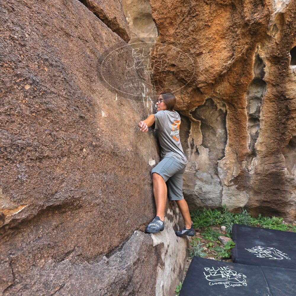 Filename: SRM_20221022_0952370.jpg
Aperture: f/5.6
Shutter Speed: 1/500
Body: Canon EOS R6
Lens: Canon EF 16-35mm f/2.8 L