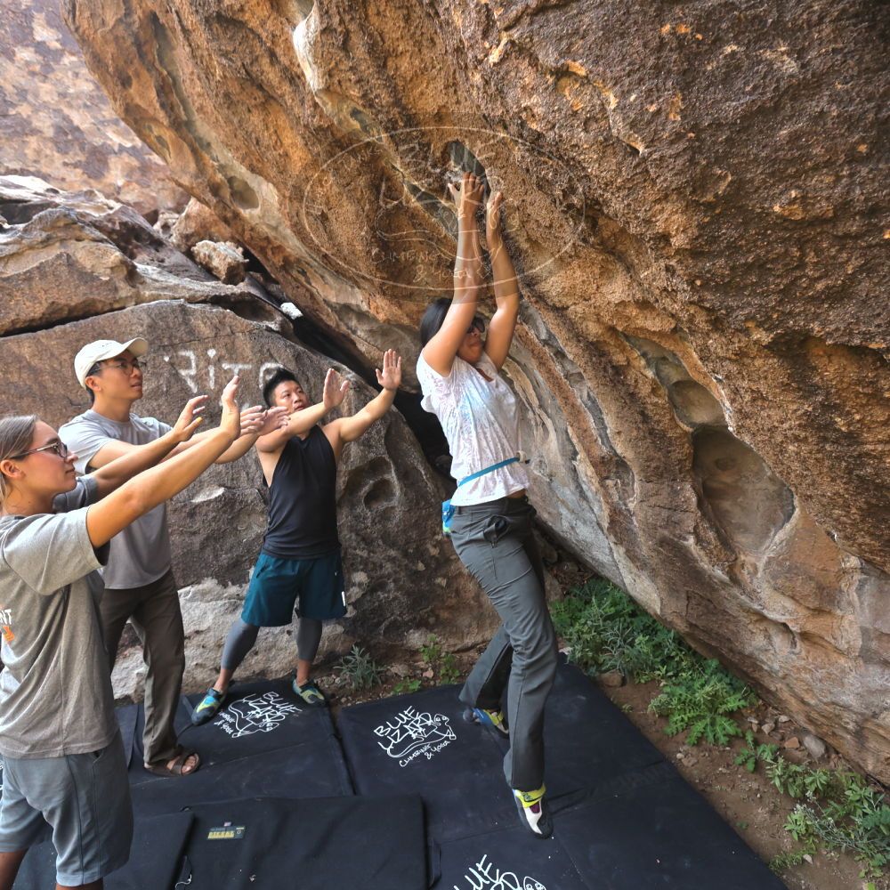 Filename: SRM_20221022_0954240.jpg
Aperture: f/5.6
Shutter Speed: 1/500
Body: Canon EOS R6
Lens: Canon EF 16-35mm f/2.8 L