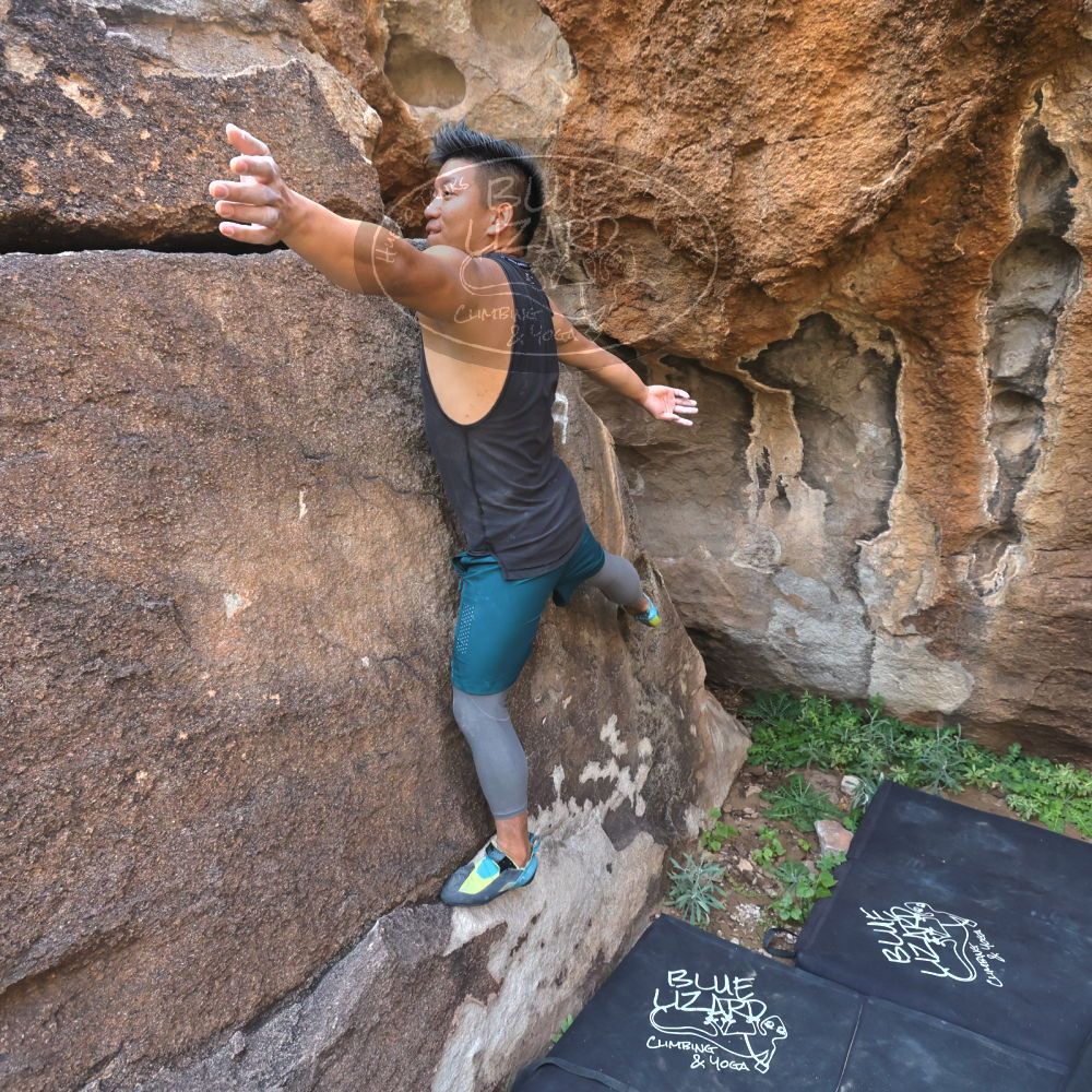 

Filename: SRM_20221022_1001030.jpg
Aperture: f/5.6
Shutter Speed: 1/500
Body: Canon EOS R6
Lens: Canon EF 16-35mm f/2.8 L