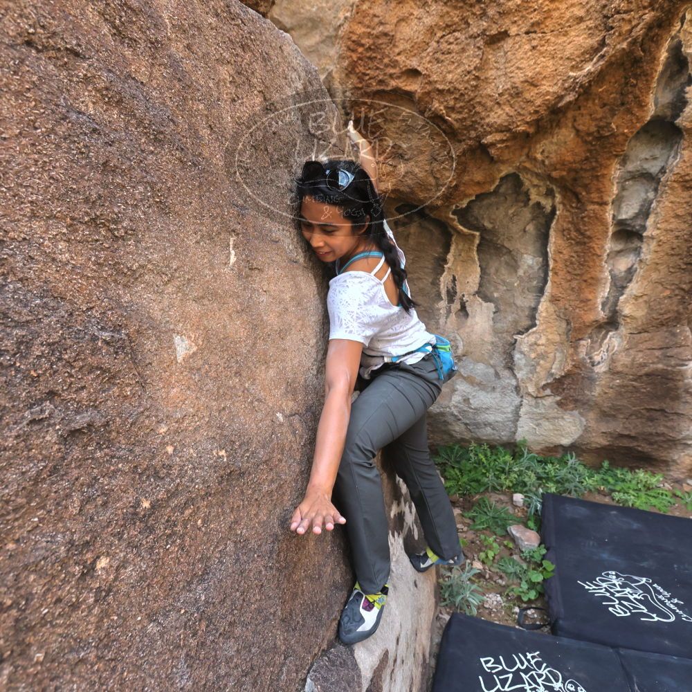 Filename: SRM_20221022_1003500.jpg
Aperture: f/5.6
Shutter Speed: 1/500
Body: Canon EOS R6
Lens: Canon EF 16-35mm f/2.8 L