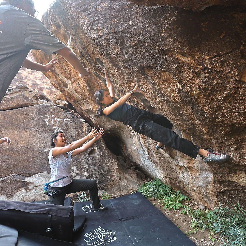 Filename: SRM_20221022_1004470.jpg
Aperture: f/5.6
Shutter Speed: 1/500
Body: Canon EOS R6
Lens: Canon EF 16-35mm f/2.8 L