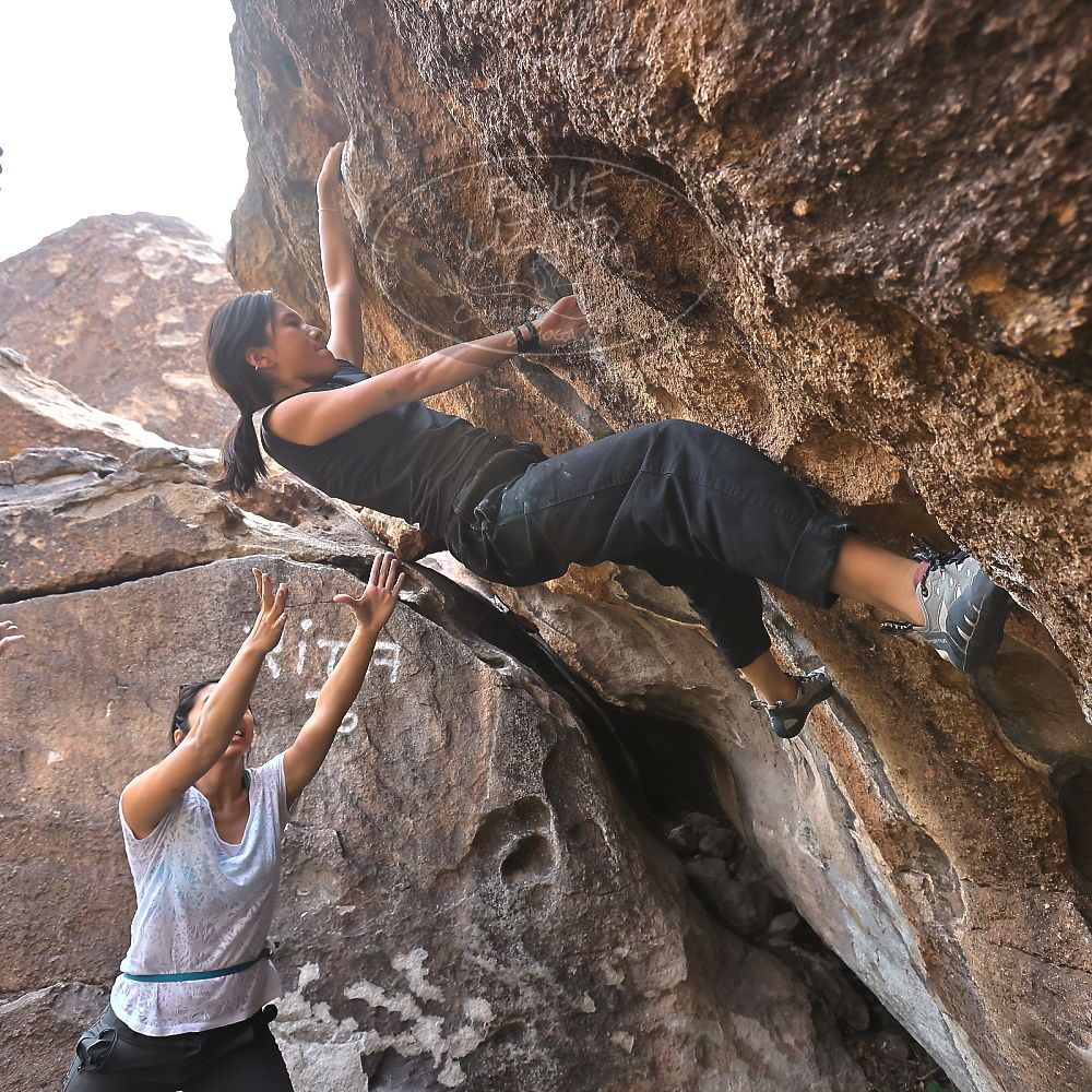 Filename: SRM_20221022_1005041.jpg
Aperture: f/5.6
Shutter Speed: 1/500
Body: Canon EOS R6
Lens: Canon EF 16-35mm f/2.8 L