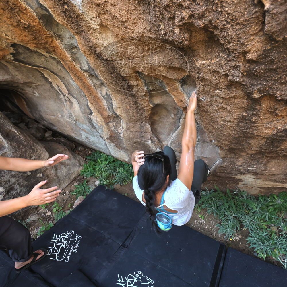 Filename: SRM_20221022_1012570.jpg
Aperture: f/5.6
Shutter Speed: 1/500
Body: Canon EOS R6
Lens: Canon EF 16-35mm f/2.8 L