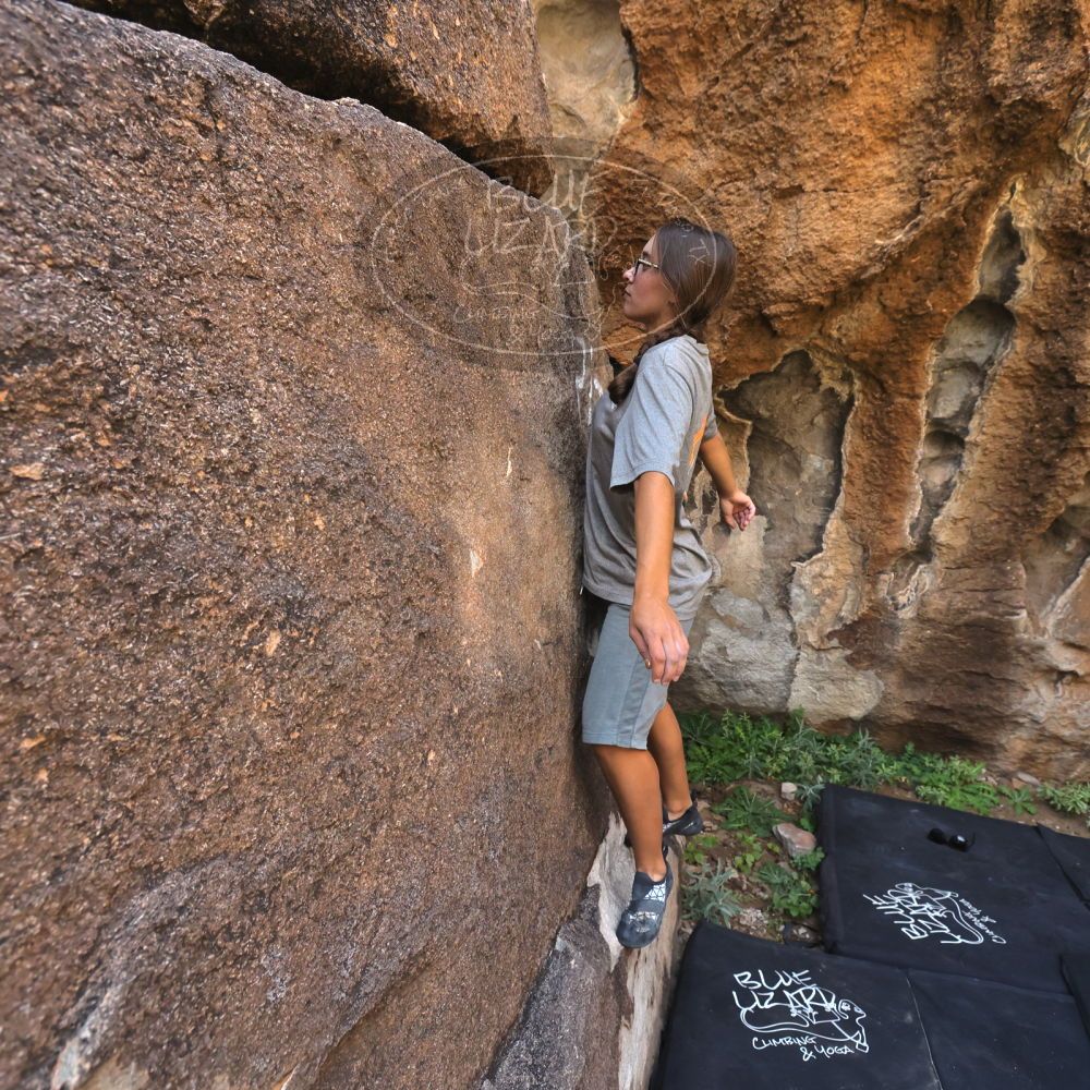 Filename: SRM_20221022_1020560.jpg
Aperture: f/5.6
Shutter Speed: 1/800
Body: Canon EOS R6
Lens: Canon EF 16-35mm f/2.8 L