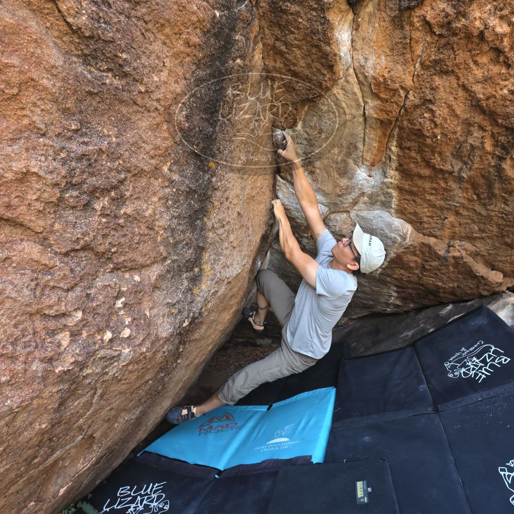 

Filename: SRM_20221022_1037070.jpg
Aperture: f/5.6
Shutter Speed: 1/800
Body: Canon EOS R6
Lens: Canon EF 16-35mm f/2.8 L