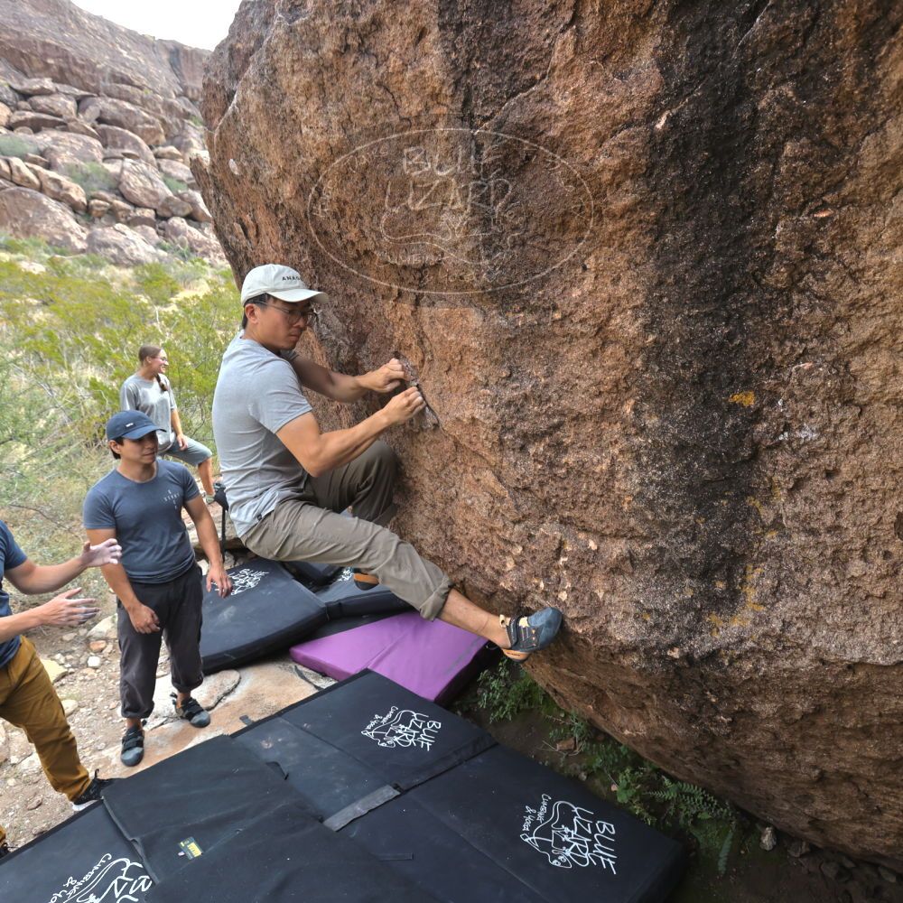 

Filename: SRM_20221022_1059120.jpg
Aperture: f/5.6
Shutter Speed: 1/800
Body: Canon EOS R6
Lens: Canon EF 16-35mm f/2.8 L