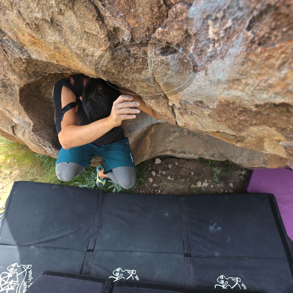 Filename: SRM_20221022_1100220.jpg
Aperture: f/5.6
Shutter Speed: 1/800
Body: Canon EOS R6
Lens: Canon EF 16-35mm f/2.8 L