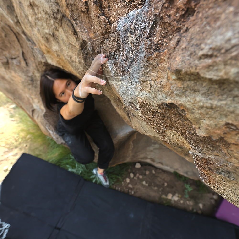 Filename: SRM_20221022_1109030.jpg
Aperture: f/5.6
Shutter Speed: 1/800
Body: Canon EOS R6
Lens: Canon EF 16-35mm f/2.8 L