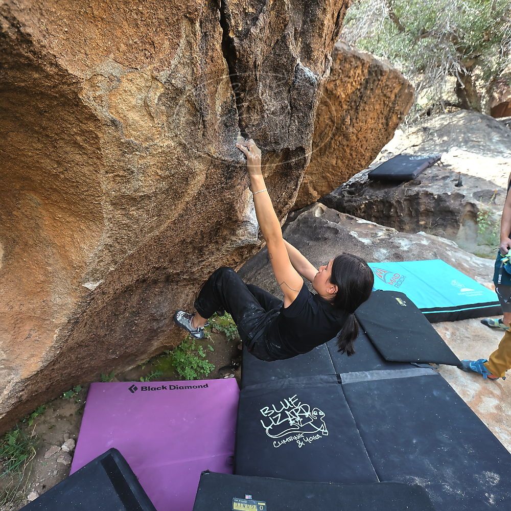 Filename: SRM_20221022_1114200.jpg
Aperture: f/5.6
Shutter Speed: 1/500
Body: Canon EOS R6
Lens: Canon EF 16-35mm f/2.8 L