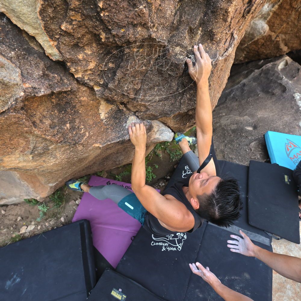 Filename: SRM_20221022_1120170.jpg
Aperture: f/5.6
Shutter Speed: 1/500
Body: Canon EOS R6
Lens: Canon EF 16-35mm f/2.8 L