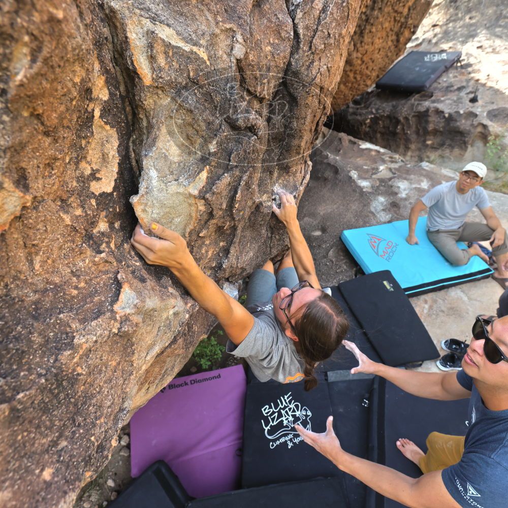 Filename: SRM_20221022_1124310.jpg
Aperture: f/5.6
Shutter Speed: 1/500
Body: Canon EOS R6
Lens: Canon EF 16-35mm f/2.8 L