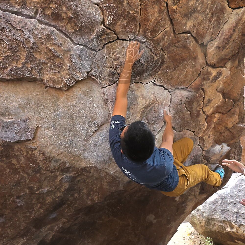 Filename: SRM_20221022_1157120.jpg
Aperture: f/5.6
Shutter Speed: 1/500
Body: Canon EOS R6
Lens: Canon EF 16-35mm f/2.8 L