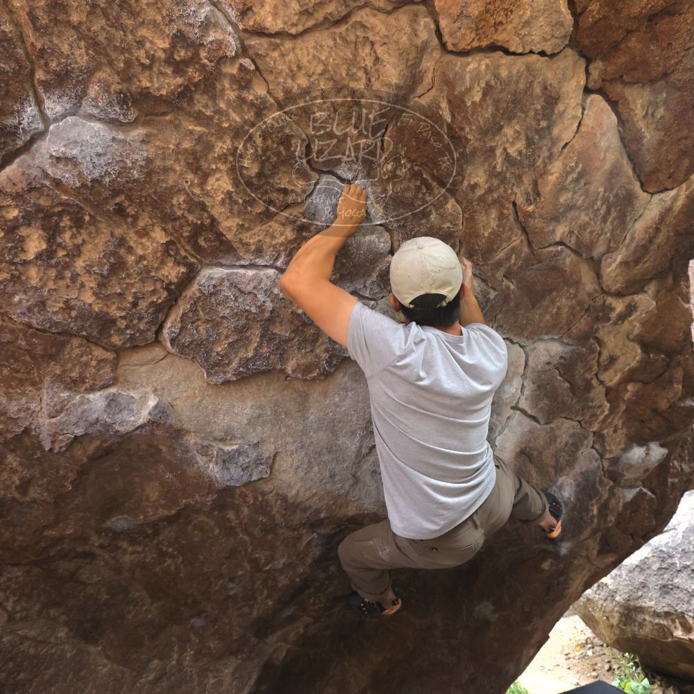 Filename: SRM_20221022_1158470.jpg
Aperture: f/5.6
Shutter Speed: 1/500
Body: Canon EOS R6
Lens: Canon EF 16-35mm f/2.8 L