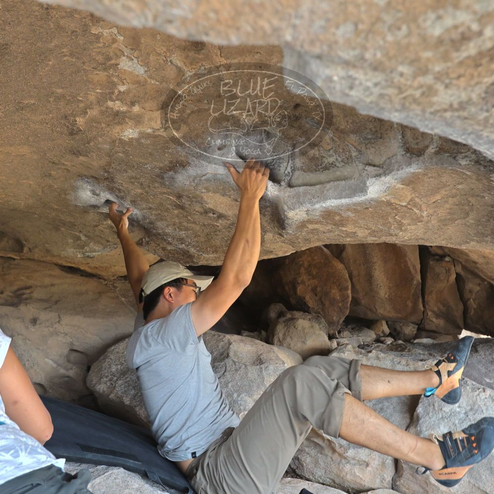 Filename: SRM_20221022_1356580.jpg
Aperture: f/5.6
Shutter Speed: 1/500
Body: Canon EOS R6
Lens: Canon EF 16-35mm f/2.8 L