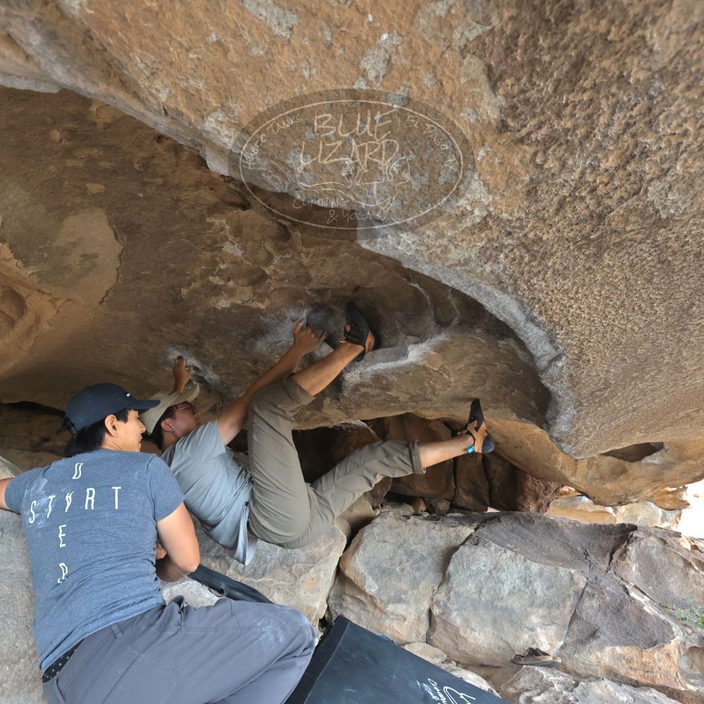 Filename: SRM_20221022_1401470.jpg
Aperture: f/5.6
Shutter Speed: 1/500
Body: Canon EOS R6
Lens: Canon EF 16-35mm f/2.8 L