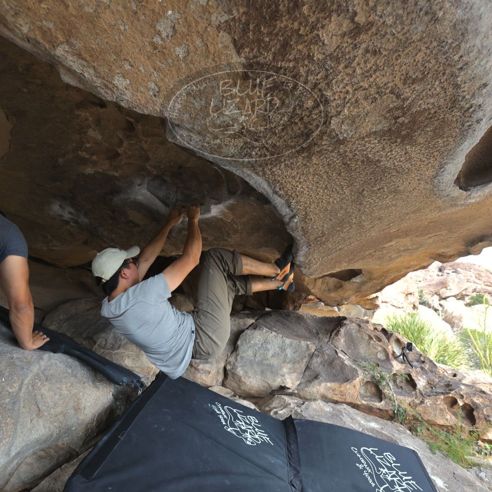 Filename: SRM_20221022_1401510.jpg
Aperture: f/5.6
Shutter Speed: 1/500
Body: Canon EOS R6
Lens: Canon EF 16-35mm f/2.8 L