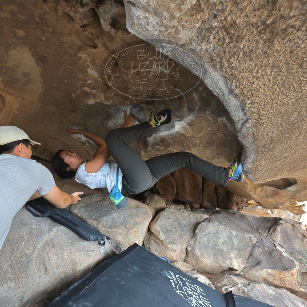 Filename: SRM_20221022_1405260.jpg
Aperture: f/5.6
Shutter Speed: 1/500
Body: Canon EOS R6
Lens: Canon EF 16-35mm f/2.8 L