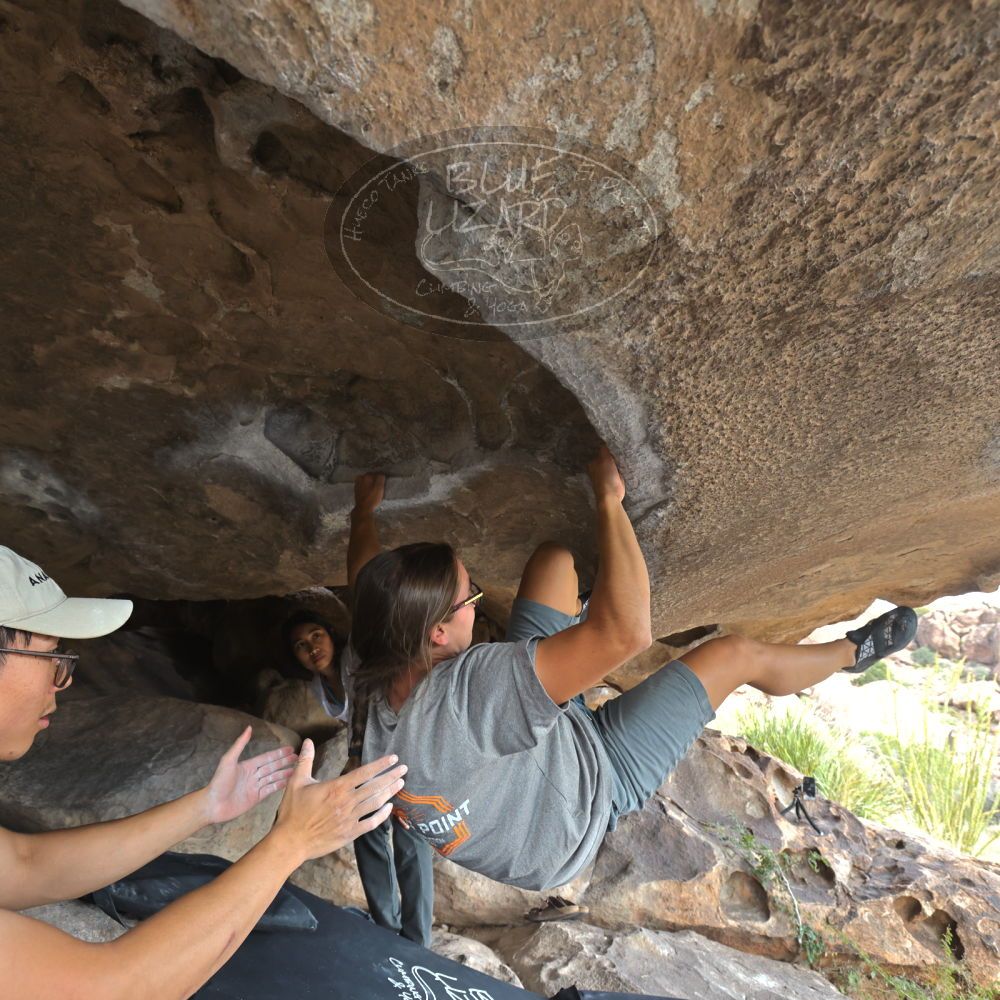 Filename: SRM_20221022_1411230.jpg
Aperture: f/5.6
Shutter Speed: 1/500
Body: Canon EOS R6
Lens: Canon EF 16-35mm f/2.8 L