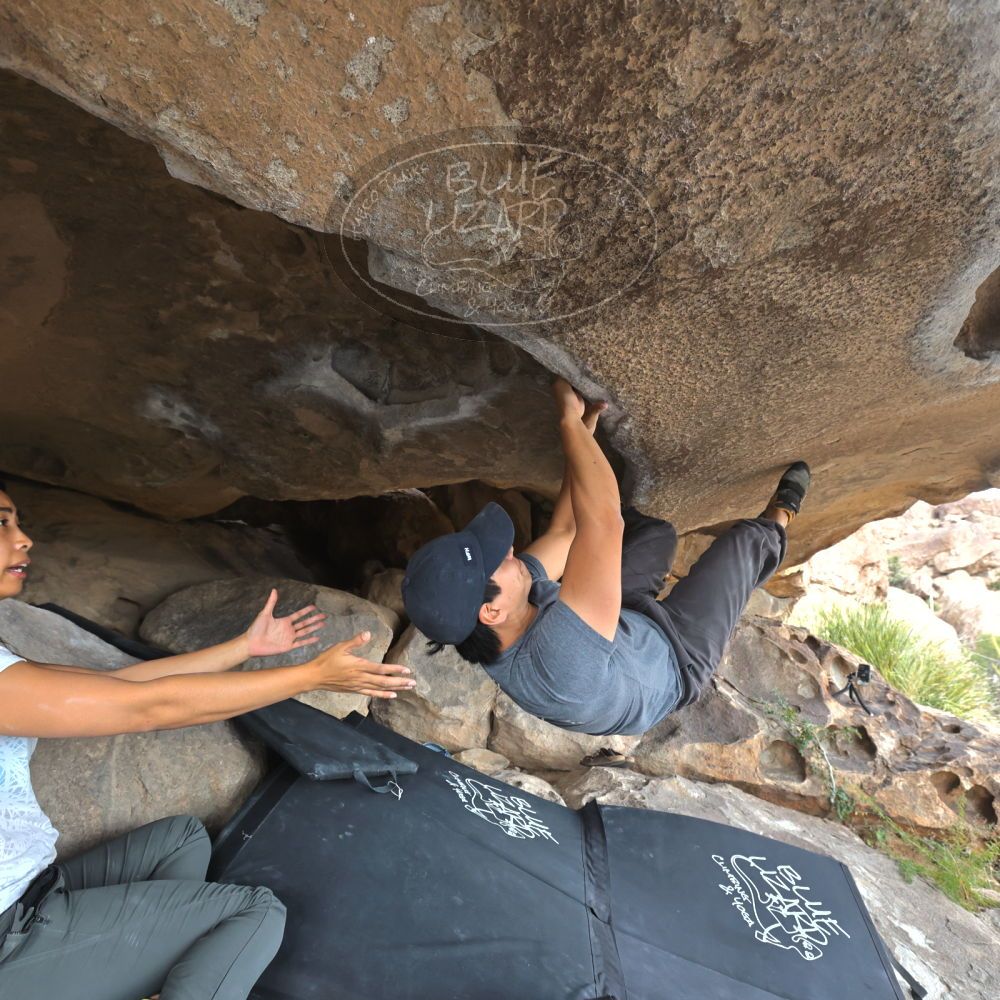 Filename: SRM_20221022_1416480.jpg
Aperture: f/5.6
Shutter Speed: 1/500
Body: Canon EOS R6
Lens: Canon EF 16-35mm f/2.8 L