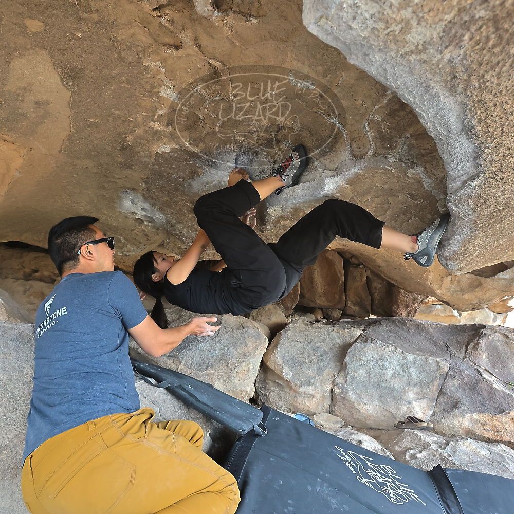 

Filename: SRM_20221022_1418480.jpg
Aperture: f/5.6
Shutter Speed: 1/500
Body: Canon EOS R6
Lens: Canon EF 16-35mm f/2.8 L